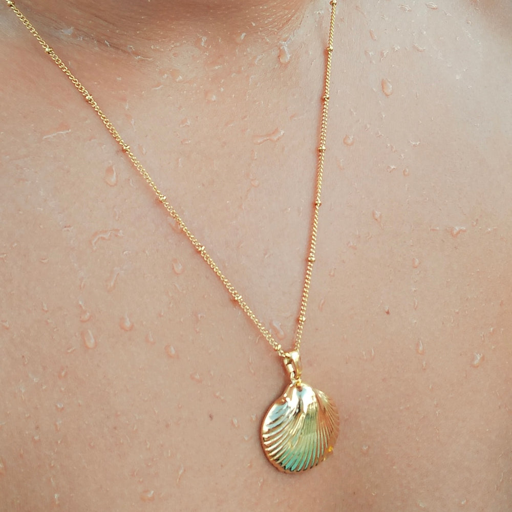 
                      
                        Carina Shell Pendant Necklace
                      
                    