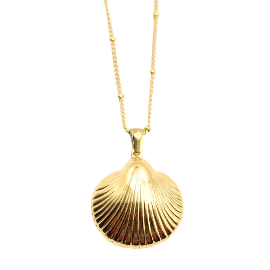 
                      
                        Carina Shell Pendant Necklace
                      
                    