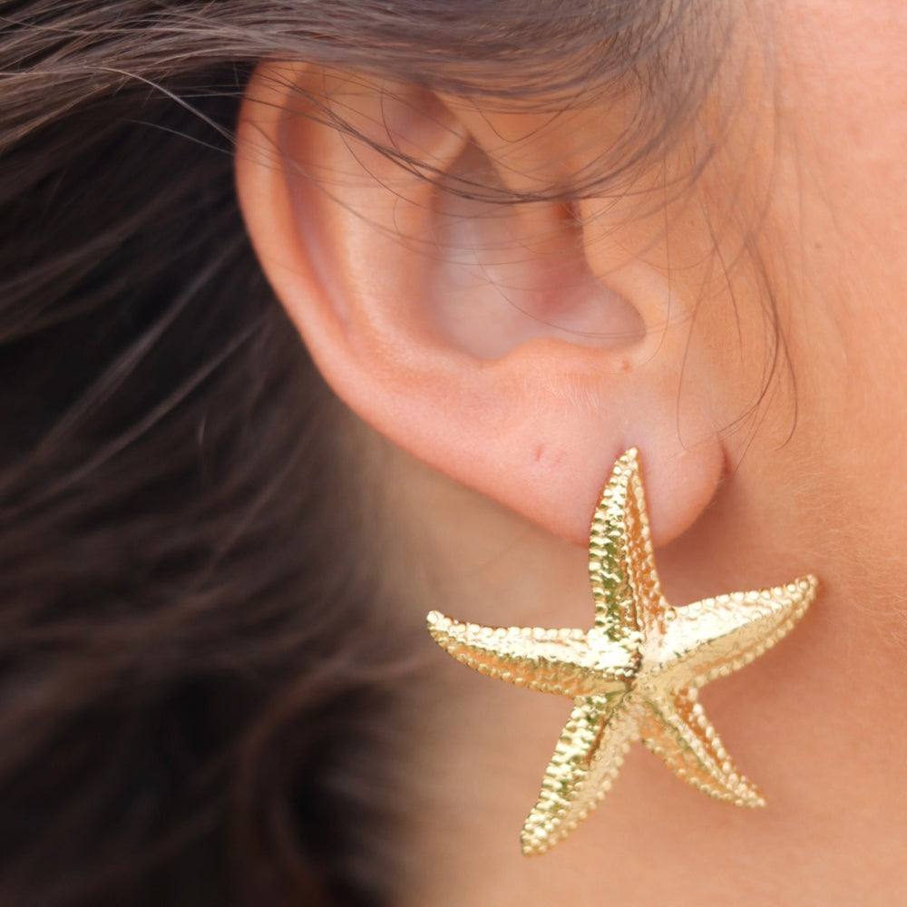 
                      
                        Lucia Starfish Textured Stud Earrings
                      
                    