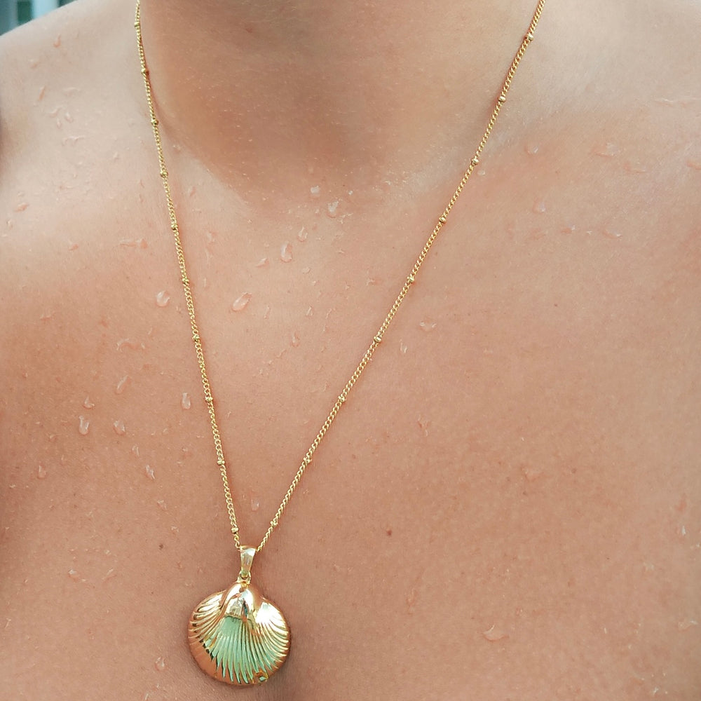 
                      
                        Carina Shell Pendant Necklace
                      
                    