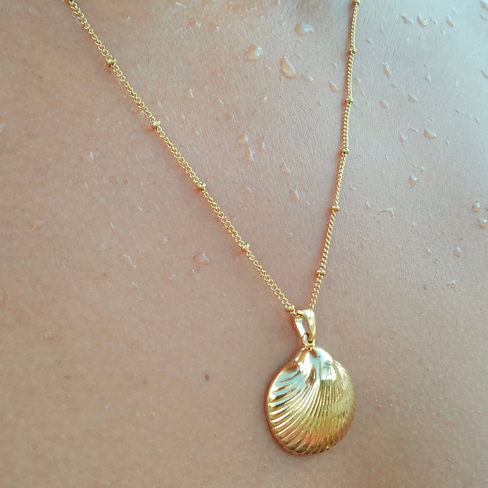 
                      
                        Carina Shell Pendant Necklace
                      
                    