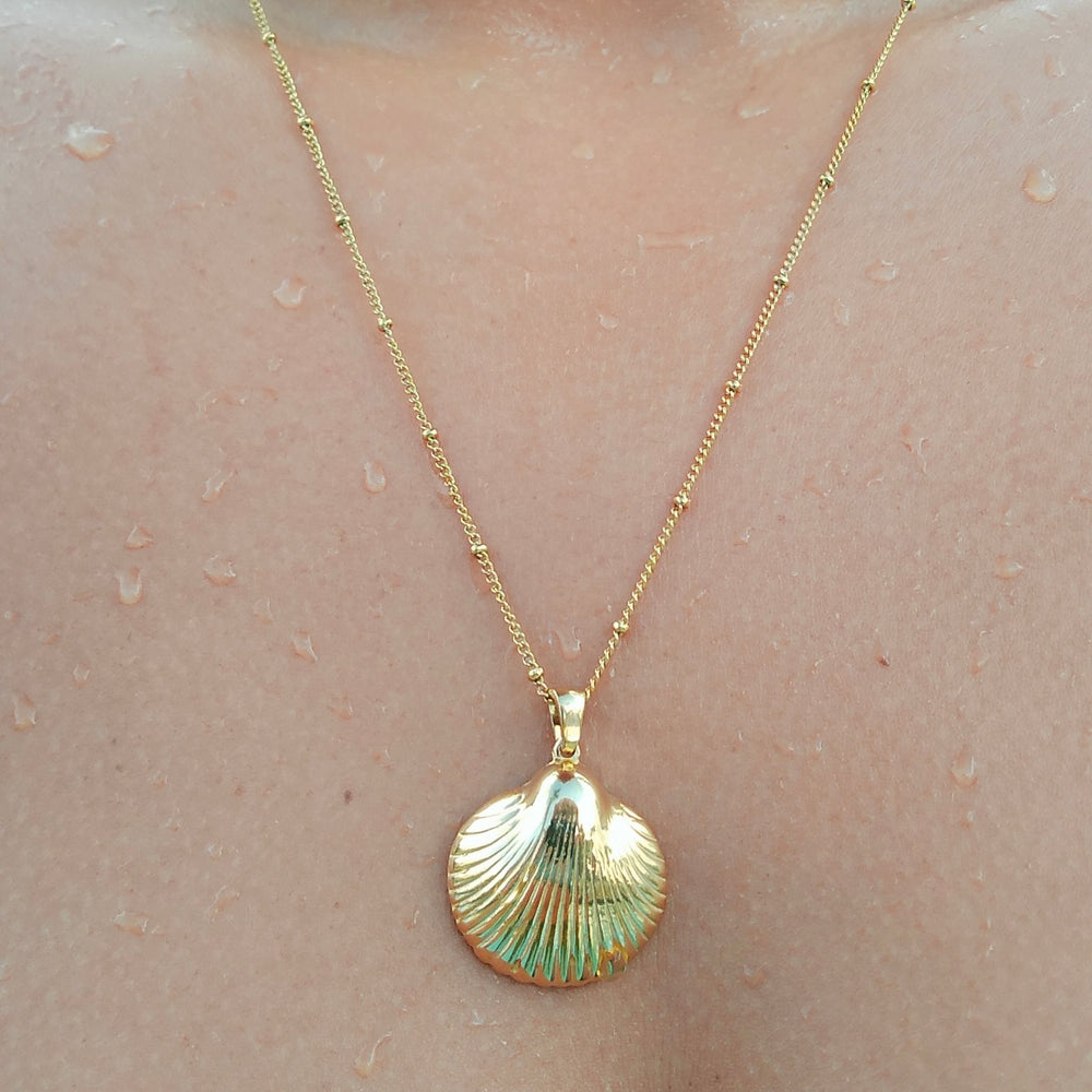 
                      
                        Carina Shell Pendant Necklace
                      
                    